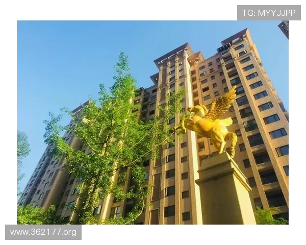 探索k8凯发娱乐凯发体育的多元娱乐与体育世界 探索k8凯发娱乐凯发体育的多元娱乐与体育世界